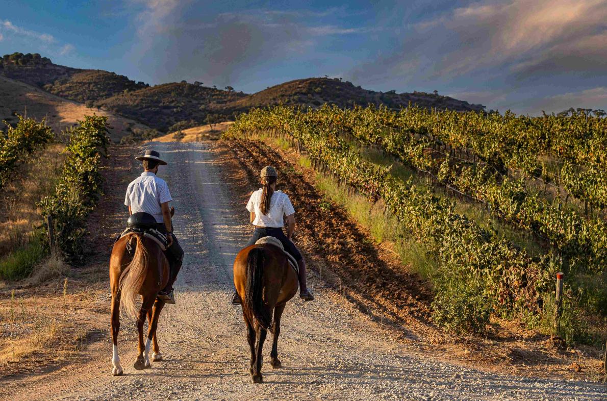How to choose the right luxury travel agency in Portugal